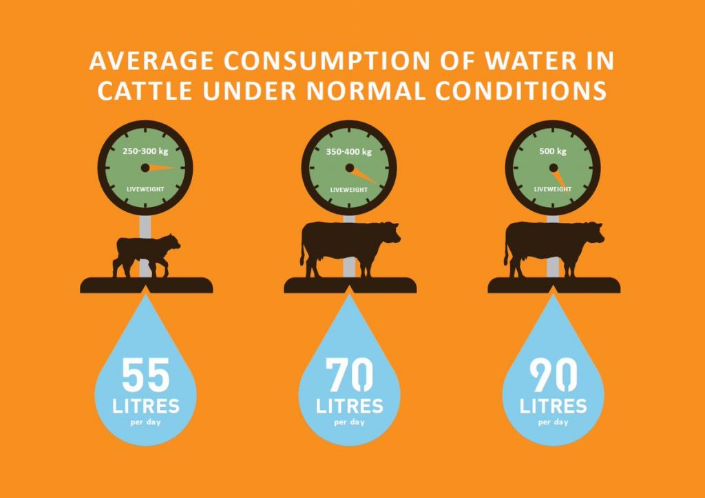 livestock average water consumption